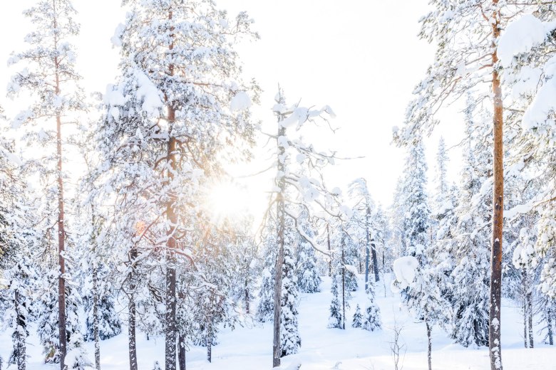 auringonnousu pyhatunturilla