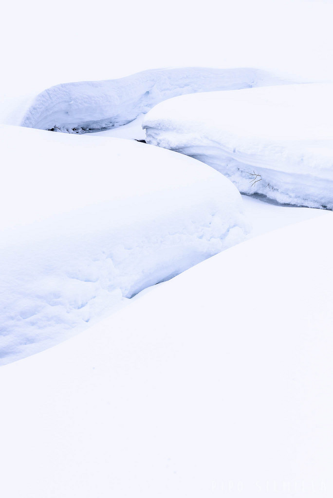 Luminen joenuoma Urho Kekkosen kansallispuistossa